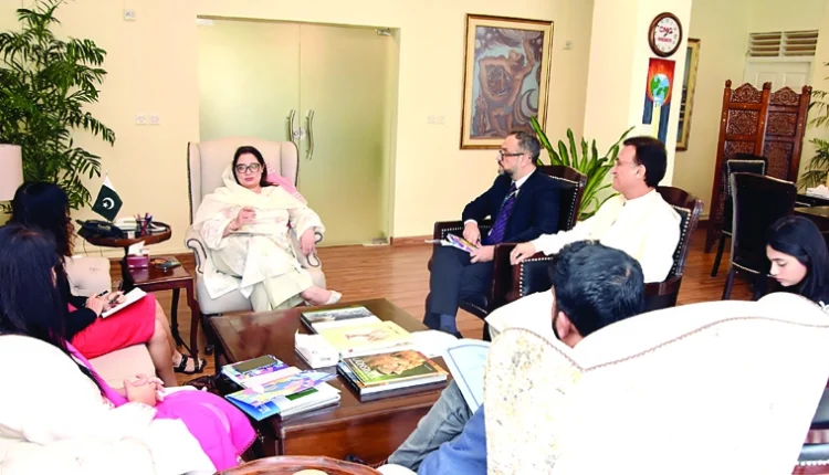 دیہی علاقوں میں متبادل توانائی کے زرائع متعارف کرا رہے ہیں، رومینہ خورشید عالم